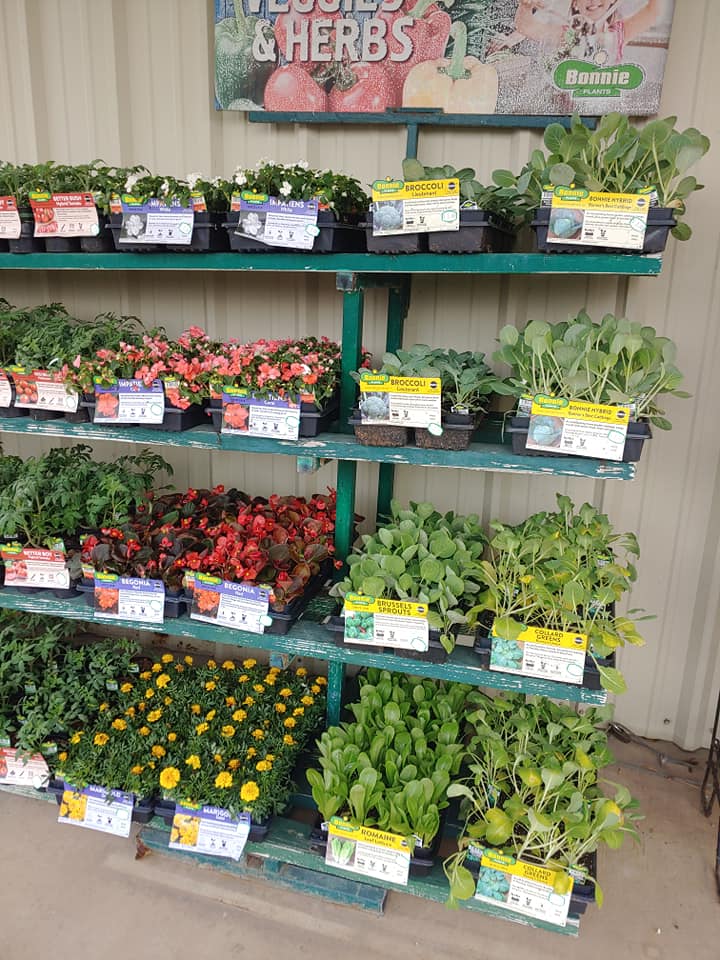 fresh herbs, fruits, vegetables, and other lawn & garden supplies at Arcola Feed