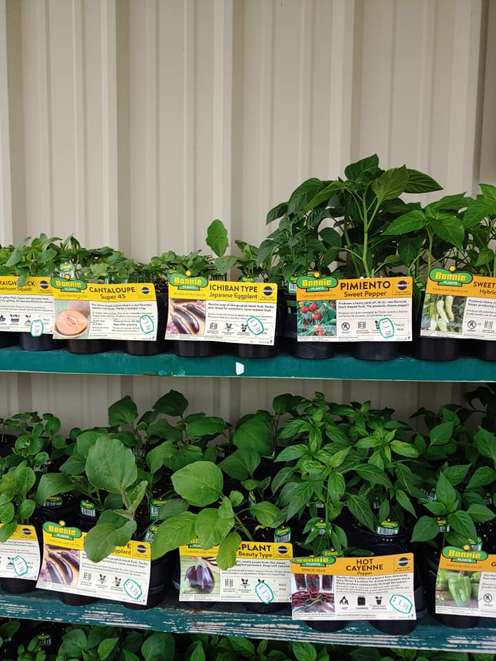 Lawn & Garden Supplies at Arcola Herbs, Veggies, & Fruit
