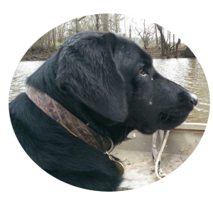 a member of the arcola feed staff, Duke