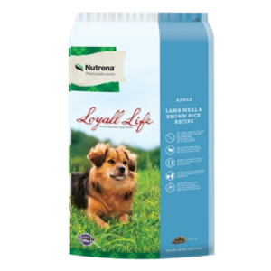 Loyall Life Adult Lamb Meal & Rice Dry Dog Food in a blue bag with dog and nature scene