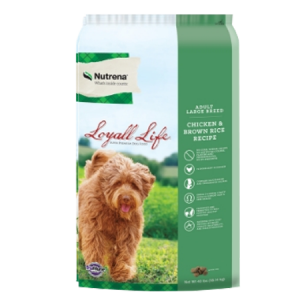 Loyall Life Large Breed Chicken & Brown Rice Recipe Dry Dog Food in green bag with dog on grass