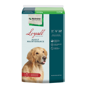 Loyall Adult Maintenance Dry Dog Food in green and white bag with dog