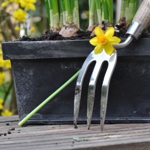 How to Lay out a Vegetable Garden :: Arcola Feed