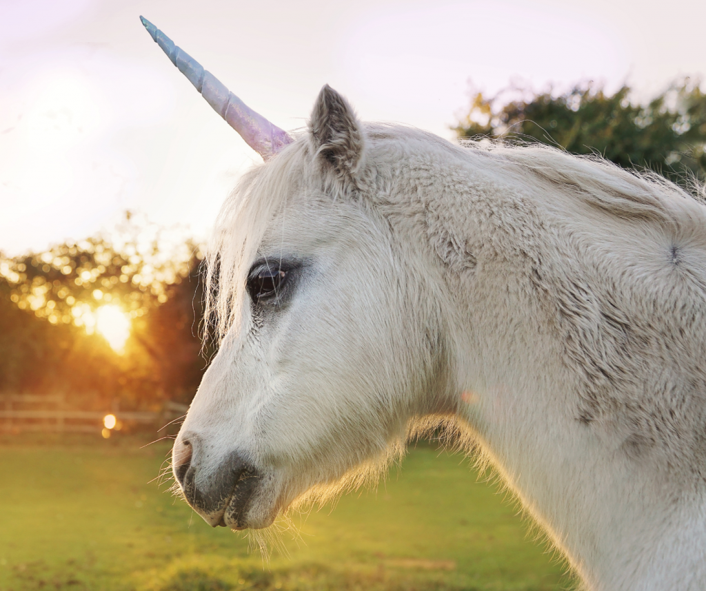 National Unicorn Day and Jay's Birthday Arcola Feed