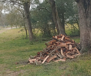 Firewood Available