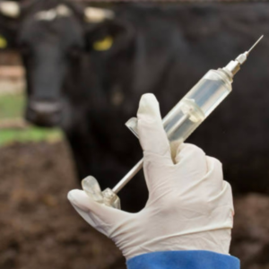 Variable-frequency drive visual data 7