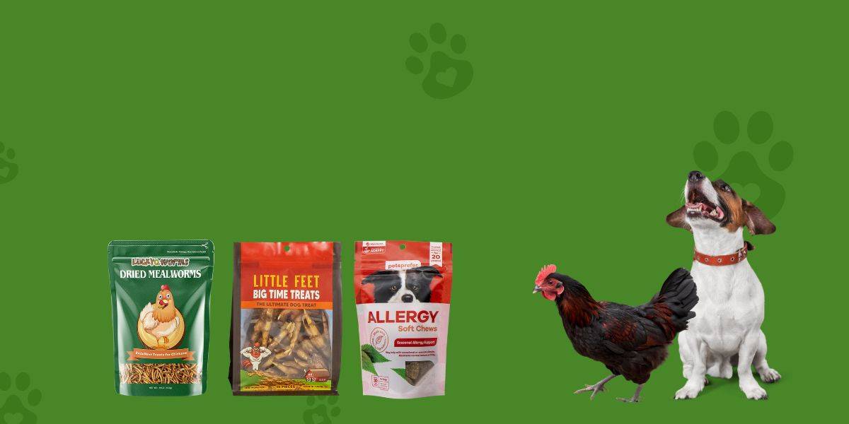 Fishing Bait Available