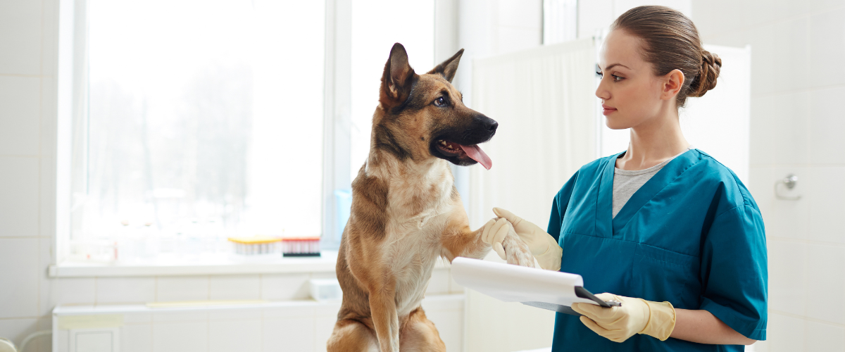Low Cost Vaccination Clinic Visits: 